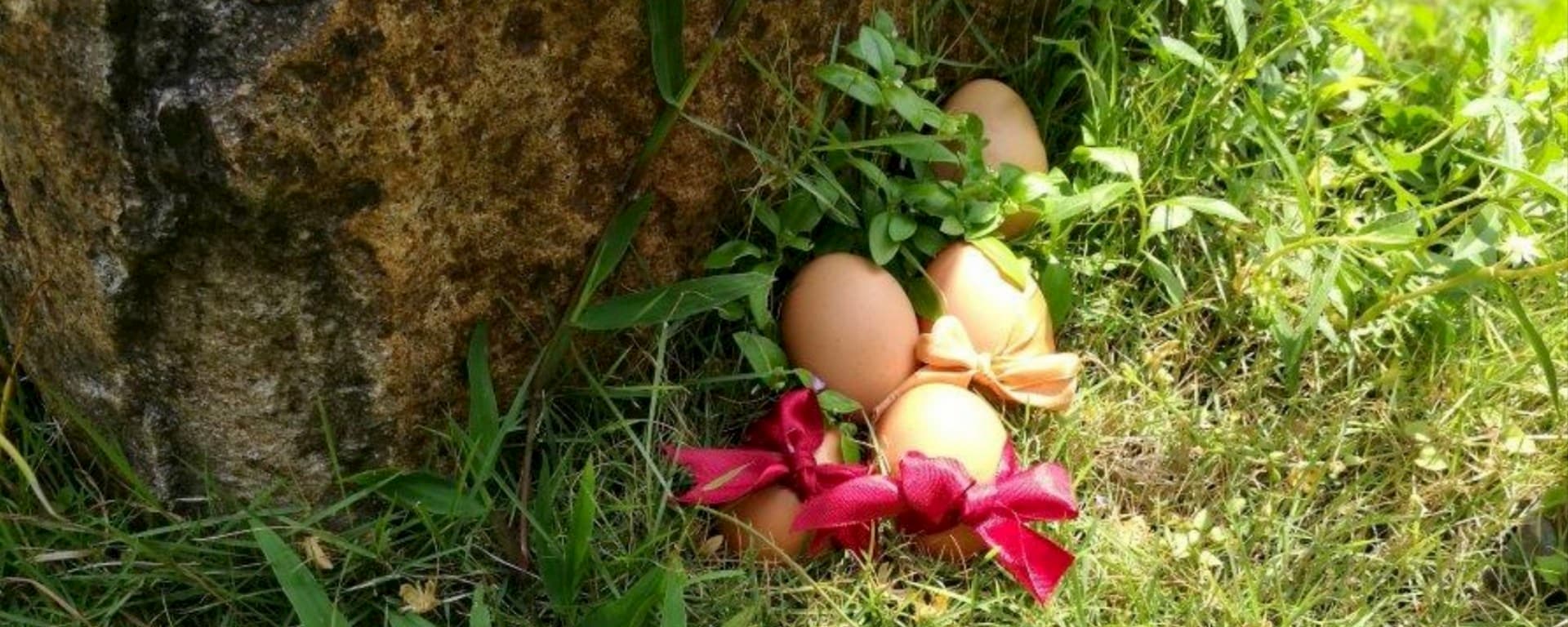 Easter Celebrations.jpg