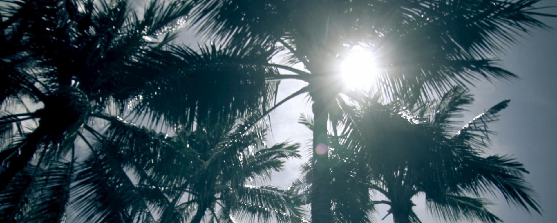Nyepi Day Solitude 1.jpg