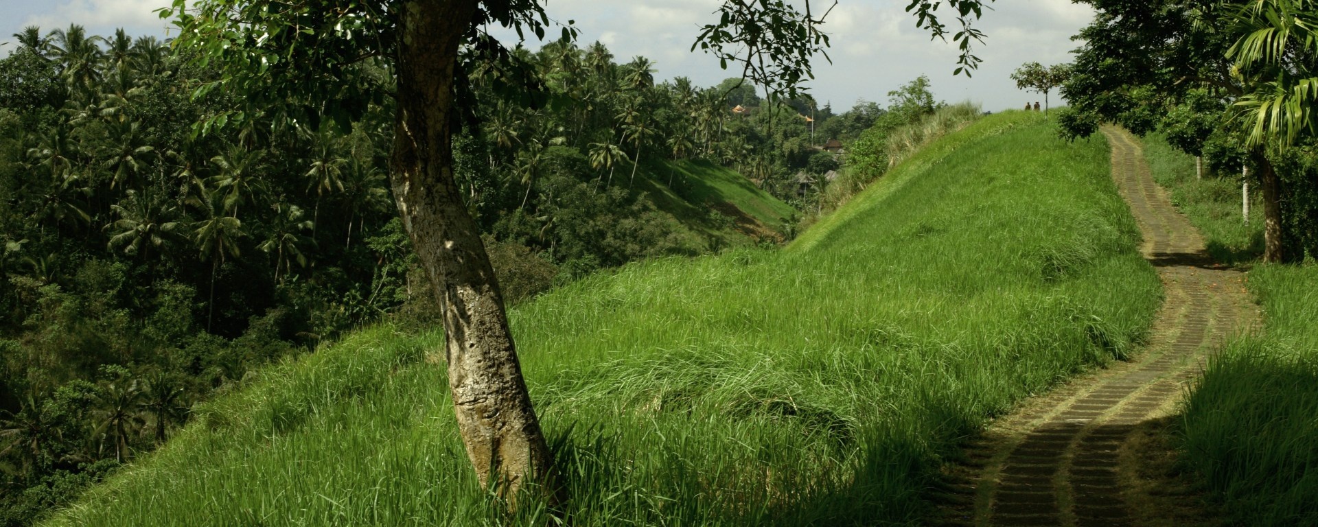 Ubud Trekking Excursions.jpg